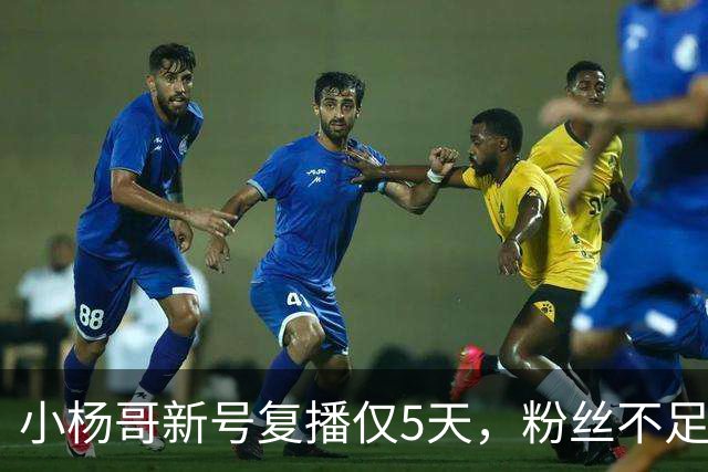 小杨哥新号复播仅5天，粉丝不足10万，直播间观看人数不到2000